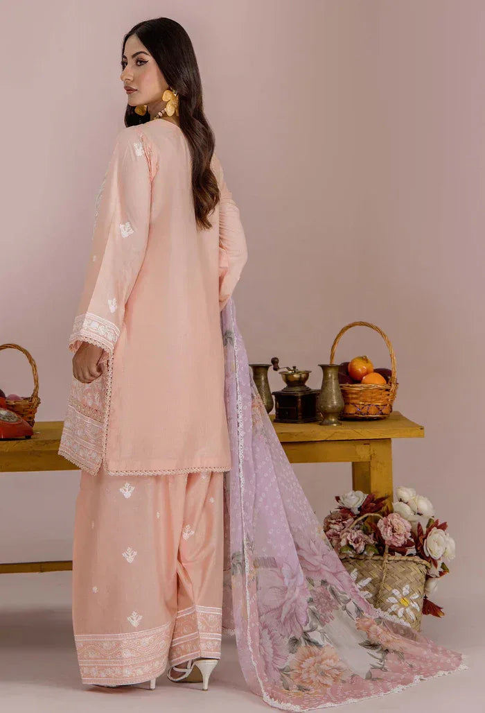 Adans Libas | Cambric ready to wear | CAMBRIC 03 - Rang-e-Khaas