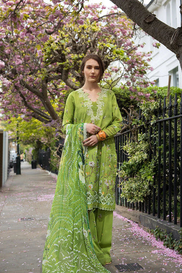 Sobia Nazir | Basics 25 | Design 3A - Rang-e-Khaas