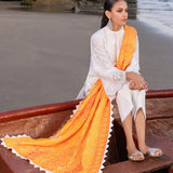 Zainab Chottani Embroidered Chikankari Lawn 3Pc Suit D-03B Chunari