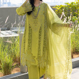 Rangrasiya | Carnation Summer Edit 25 | Aaleen