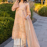 Rangrasiya | Carnation Summer Edit 25 | Zinnia