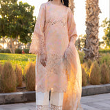 Rangrasiya | Carnation Summer Edit 25 | Zinnia