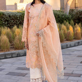 Rangrasiya | Carnation Summer Edit 25 | Zinnia