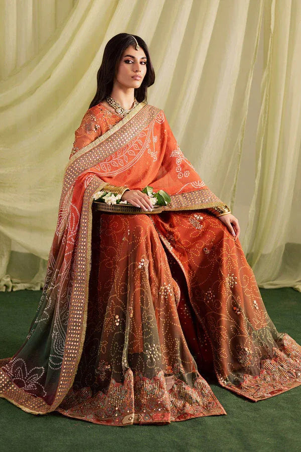Nureh | Jugni Festive | NP-697 - Rang-e-Khaas