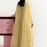 Afrozeh | Basic Pret 25 | Lemon lush