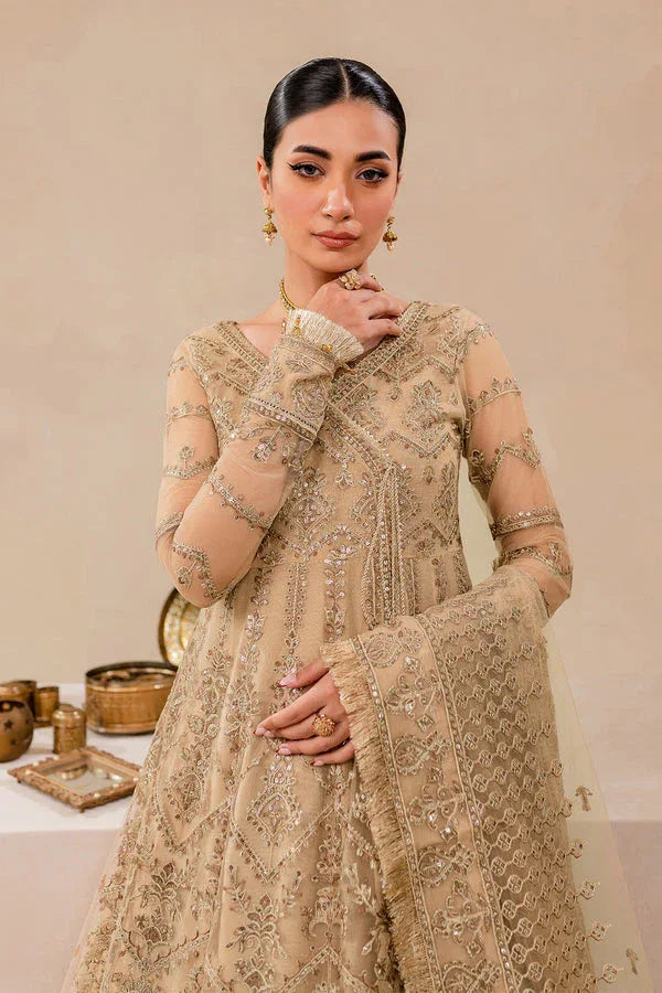 Farasha | Lumiere Formals | DREAMT FLAIR - Rang-e-Khaas