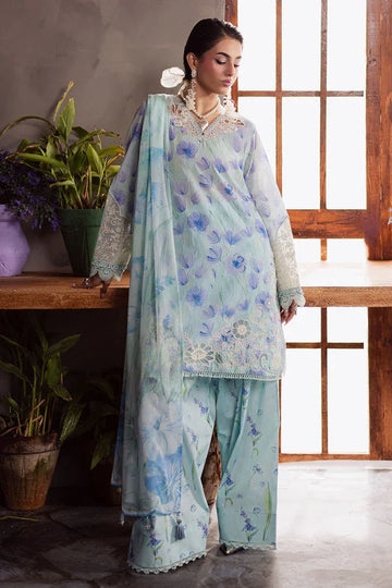 Nureh | Amaya Formals | DD-13 - Rang-e-Khaas