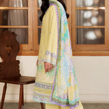 Farasha |Summer weaves | Daisy Dreams