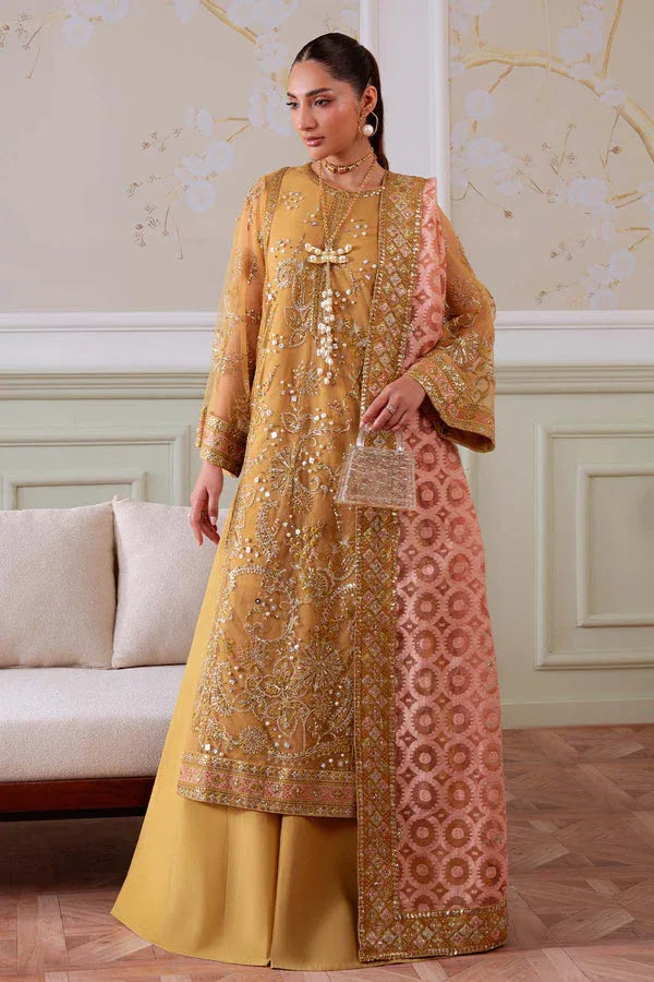 Nureh | Elanora Formals | NEL-81 - Rang-e-Khaas