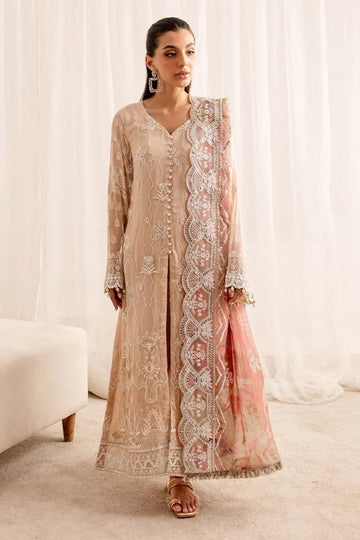 Nureh | Fancy Formals | NP-509 - Rang-e-Khaas