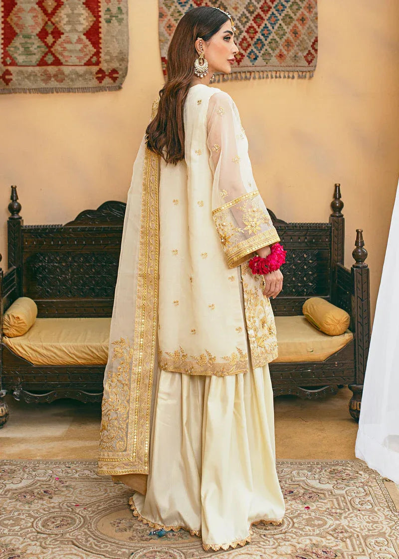 Daud Abbas | Formals Collection | Rasm - Rang-e-Khaas