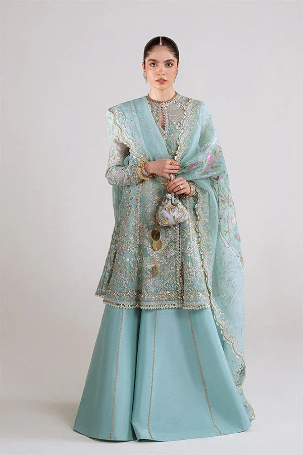 Suffuse | Freeshia RTW 25' | Illyra - Rang-e-Khaas