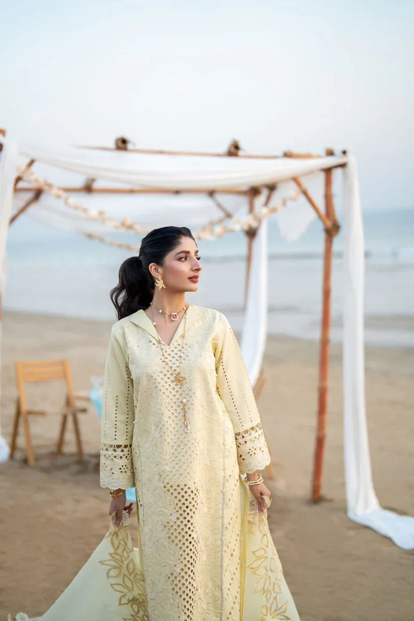 Aabyaan | Saagar Luxury Lawn 25 | SOFINA (AS-07) - Rang-e-Khaas