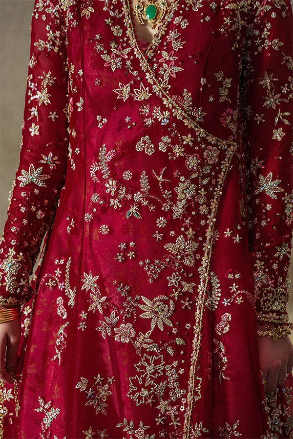 Suffuse | Freeshia RTW 25' | Jaseria - Rang-e-Khaas