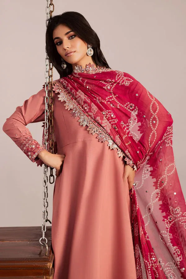 Nureh | Jugni Festive | NP-696 - Rang-e-Khaas