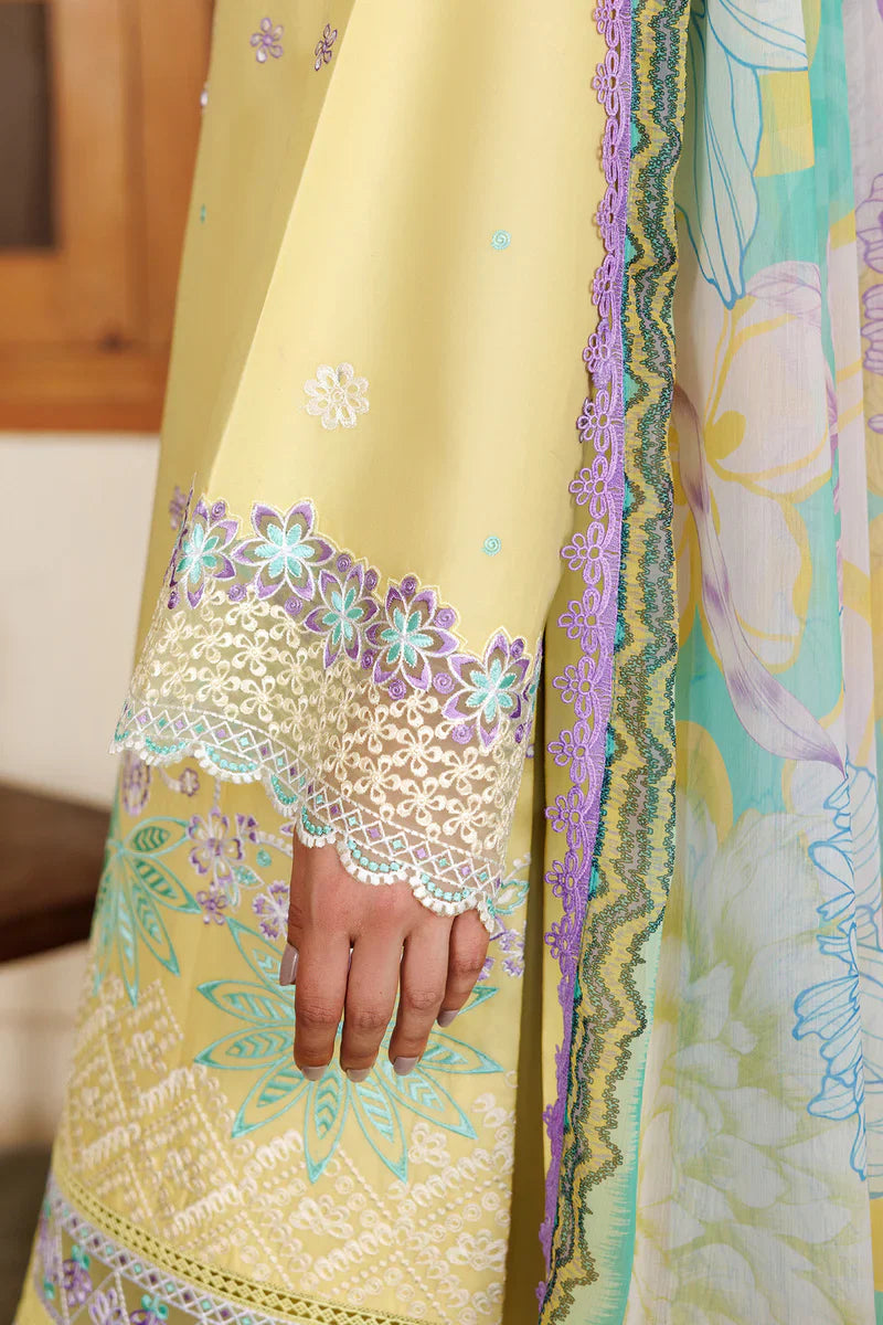 Farasha |Summer weaves | Daisy Dreams