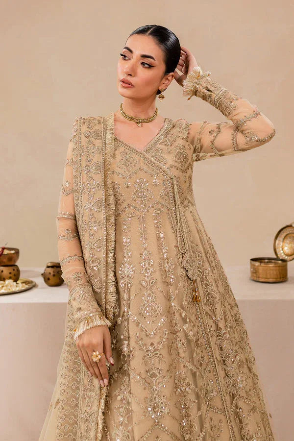 Farasha | Lumiere Formals | DREAMT FLAIR - Rang-e-Khaas
