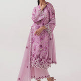Image | Spring Basics 25 | IMPRSS-213951-12549