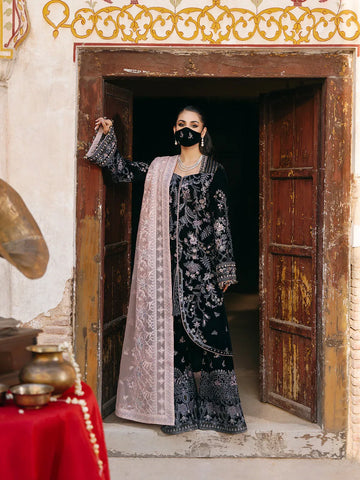 Flossie | Siara Velvet Formals | V-103 - B - Rang-e-Khaas