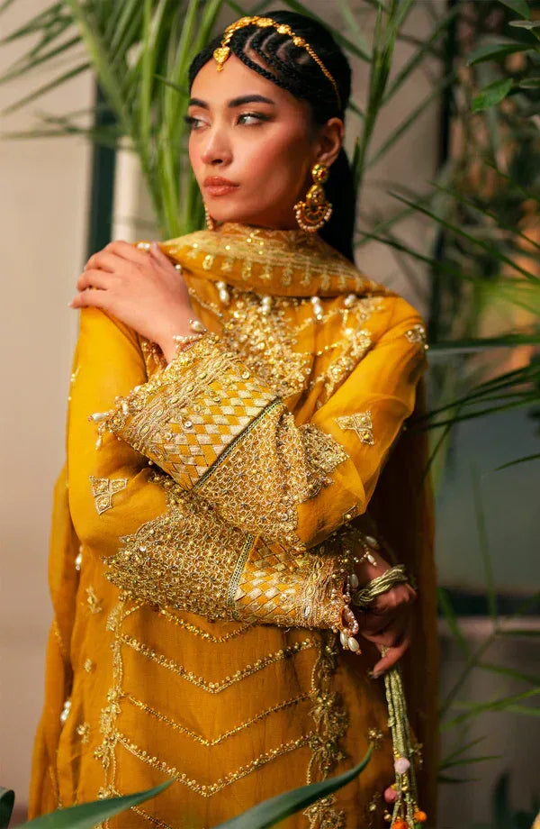 Eleshia | Khatoon Wedding Formals | Janan - Rang-e-Khaas