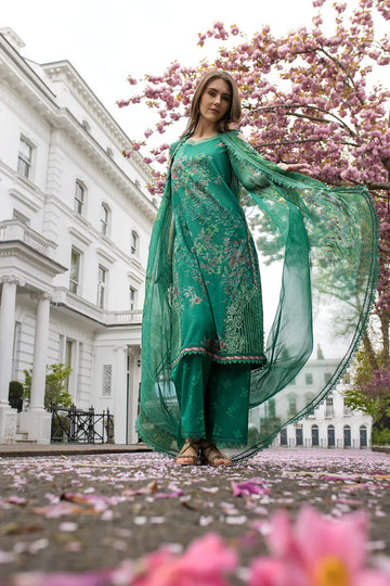 Sobia Nazir | Basics 25 | Design 5B - Rang-e-Khaas