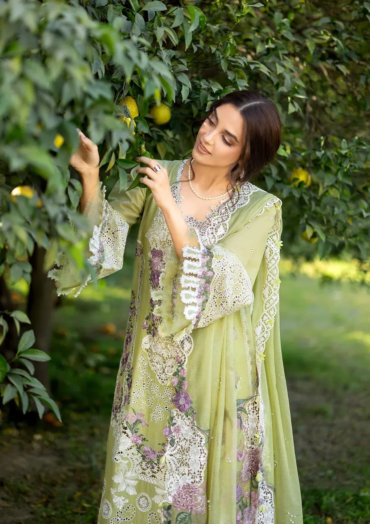 ELY-08 PISTACHIA - Rang-e-Khaas
