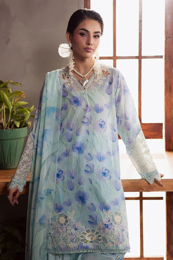 Nureh | Amaya Formals | DD-13 - Rang-e-Khaas