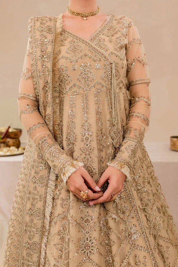 Farasha | Lumiere Formals | DREAMT FLAIR - Rang-e-Khaas