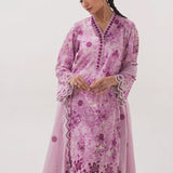 Image | Spring Basics 25 | IMPRSS-213951-12549