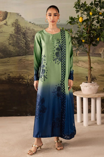 Nureh | Shades of Winter | NP-677 - Rang-e-Khaas