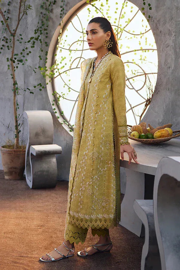 Suffuse | Casual Pret Eid 24 | Zayb - Rang-e-Khaas