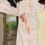Qalamkar | Festive Lawn 2024 | PS-03 IRSA