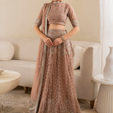 Iznik | Chinnon Chiffon | CC-43 Embroidered Net