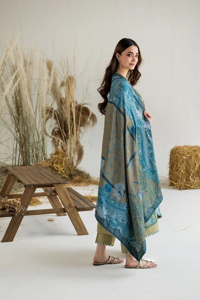 Sobia Nazir | Winter 25 | WE25-V1-6B - Rang-e-Khaas