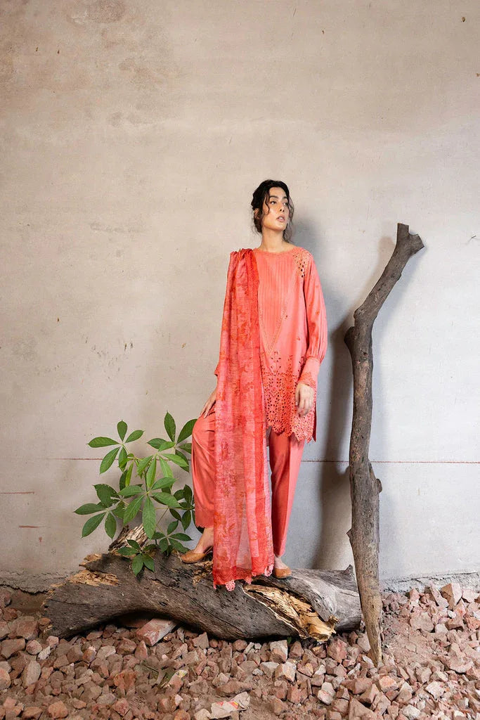 Sobia Nazir | Fall Edit 24 | DESIGN 6B FALL EDIT 2024 UNSTITCHED - Rang-e-Khaas