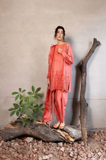 Sobia Nazir | Fall Edit 24 | DESIGN 6B FALL EDIT 2024 UNSTITCHED - Rang-e-Khaas
