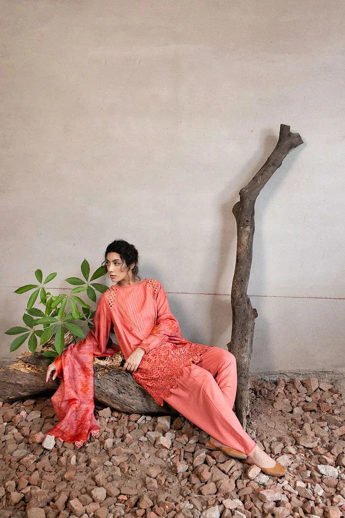 Sobia Nazir | Fall Edit 24 | DESIGN 6B FALL EDIT 2024 UNSTITCHED - Rang-e-Khaas