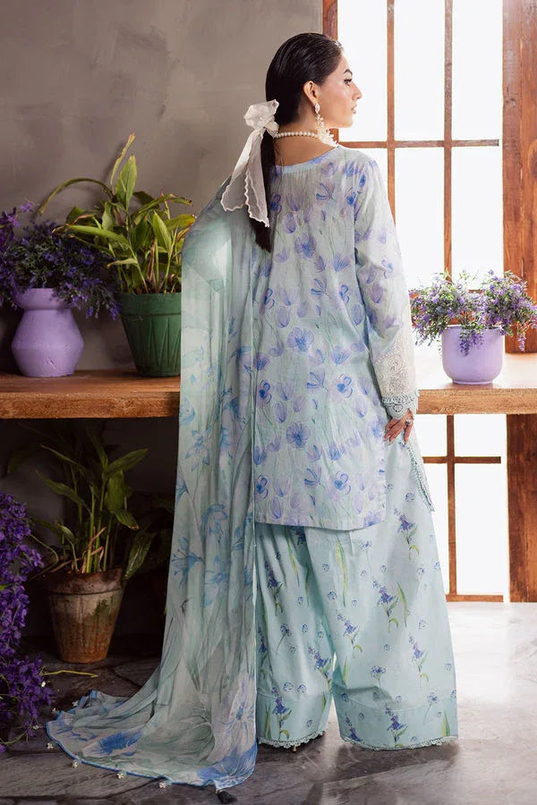 Nureh | Amaya Formals | DD-13 - Rang-e-Khaas