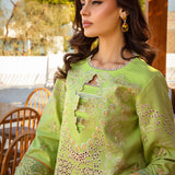 Rangrasiya | Premium Summer Lawn 25 | Elaheh