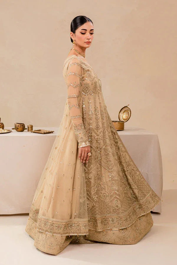Farasha | Lumiere Formals | DREAMT FLAIR - Rang-e-Khaas