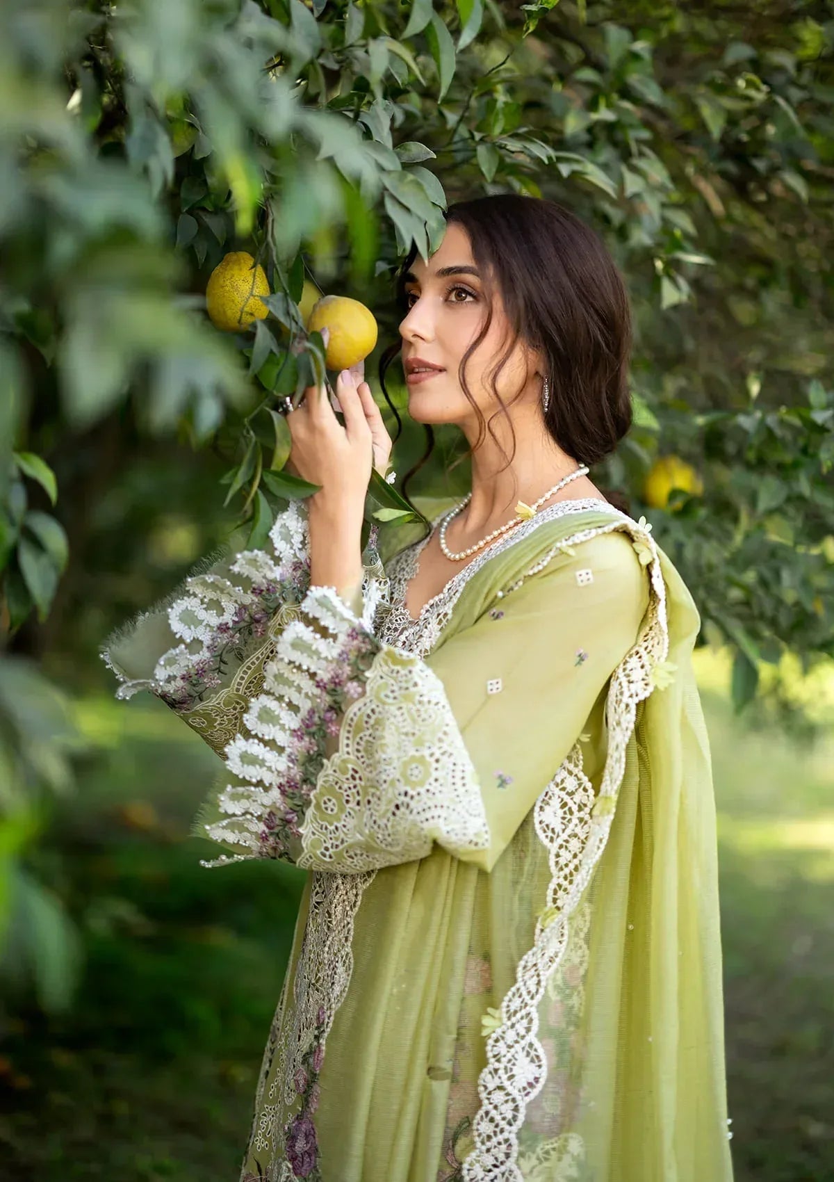 ELY-08 PISTACHIA - Rang-e-Khaas