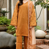 Farasha | Summer weaves | Golden Dusk