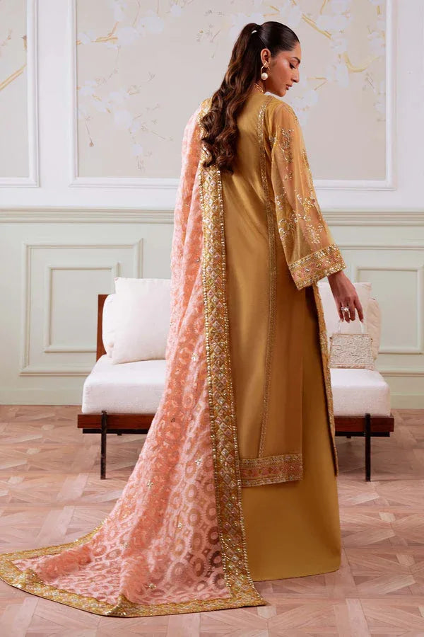Nureh | Elanora Formals | NEL-81 - Rang-e-Khaas