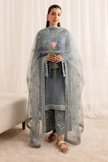 Nureh | Fancy Formals | NP-521 - Rang-e-Khaas