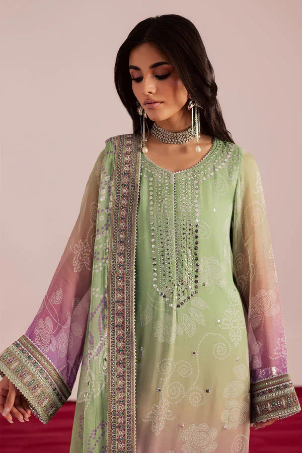 Nureh | Jugni Festive | NP-699 - Rang-e-Khaas