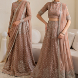 Iznik | Chinnon Chiffon | CC-43 Embroidered Net