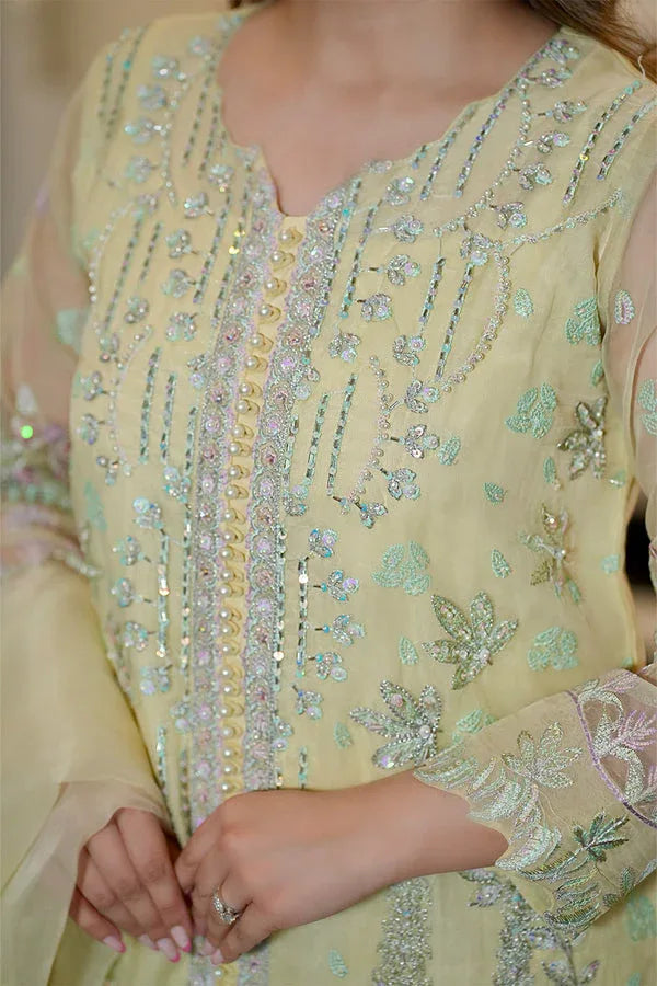 Maryum N Maria | Amani Formals | AURY - MW40117 - Rang-e-Khaas