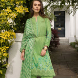 Sobia Nazir | Basics 25 | Design 7B