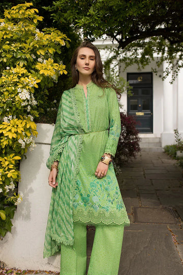 Sobia Nazir | Basics 25 | Design 7B - Rang-e-Khaas