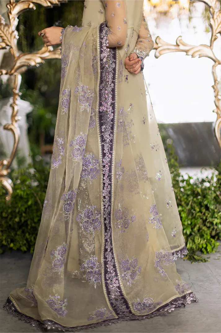Saad Shaikh | Flurie Formals | Lucia - Rang-e-Khaas